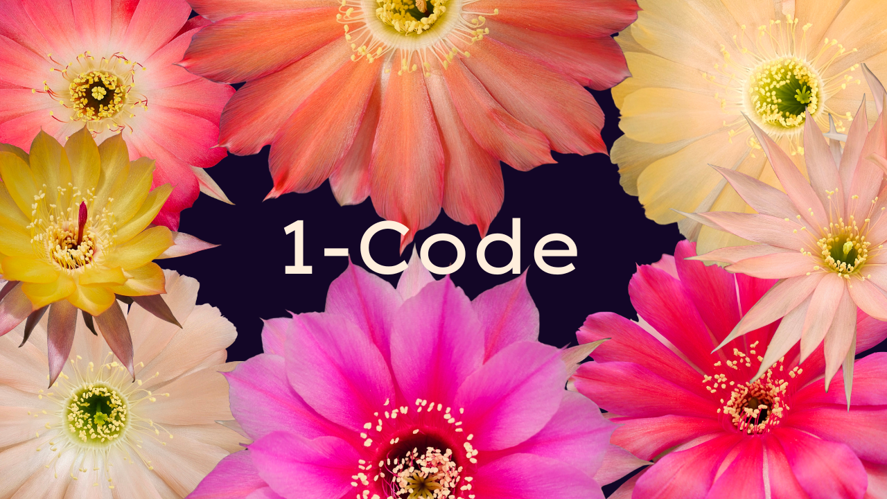 The Code Collection The 1-Code Collection – Spine City